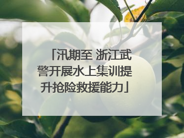 汛期至 浙江武警开展水上集训提升抢险救援能力