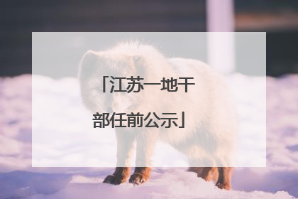 江苏一地干部任前公示