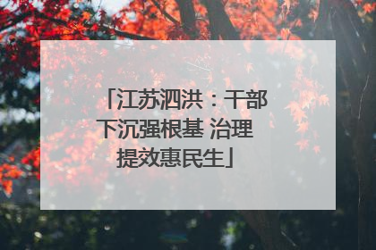 江苏泗洪：干部下沉强根基 治理提效惠民生