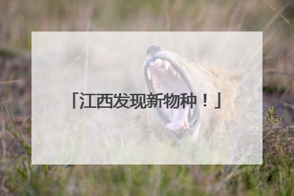 江西发现新物种！
