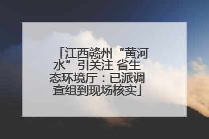 江西赣州“黄河水”引关注 省生态环境厅：已派调查组到现场核实