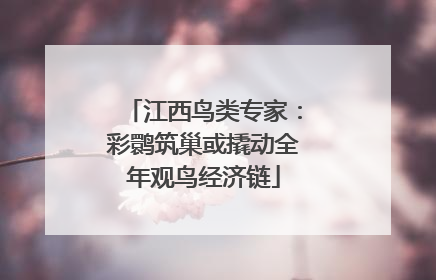 江西鸟类专家：彩鹮筑巢或撬动全年观鸟经济链
