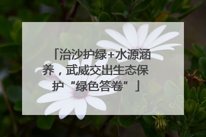 治沙护绿+水源涵养，武威交出生态保护“绿色答卷”