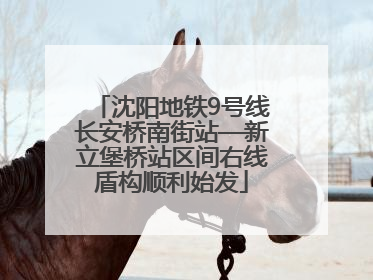 沈阳地铁9号线长安桥南街站—新立堡桥站区间右线盾构顺利始发