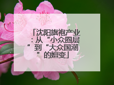 沈阳旗袍产业：从“小众圈层”到“大众国潮”的嬗变