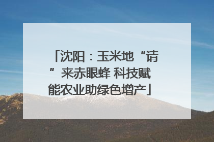 沈阳：玉米地“请”来赤眼蜂 科技赋能农业助绿色增产