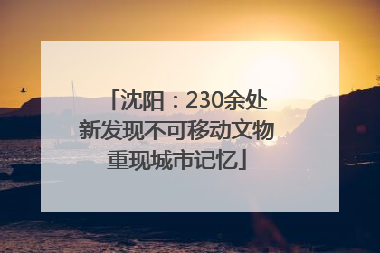 沈阳：230余处新发现不可移动文物重现城市记忆