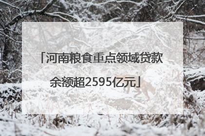 河南粮食重点领域贷款余额超2595亿元