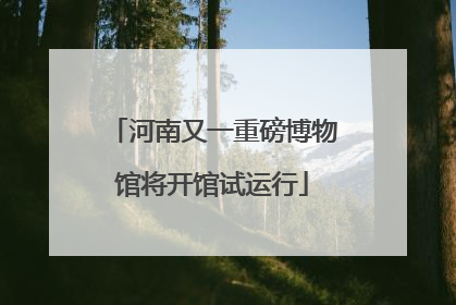 河南又一重磅博物馆将开馆试运行