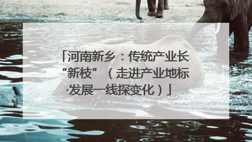 河南新乡：传统产业长“新枝”（走进产业地标·发展一线探变化）