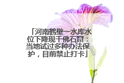 河南鹤壁一水库水位下降现千佛石窟：当地试过多种办法保护，目前禁止打卡