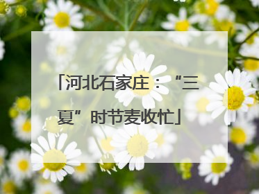 河北石家庄：“三夏”时节麦收忙