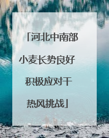河北中南部小麦长势良好 积极应对干热风挑战