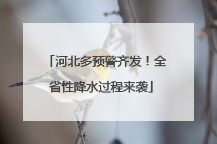 河北多预警齐发！全省性降水过程来袭