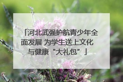 河北武强护航青少年全面发展 为学生送上文化与健康“大礼包”