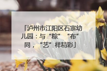 泸州市江阳区石寨幼儿园：与“粽”“布”同，“艺”样精彩