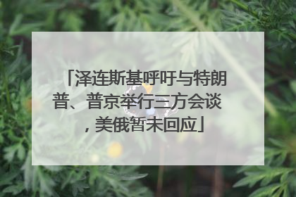泽连斯基呼吁与特朗普、普京举行三方会谈，美俄暂未回应
