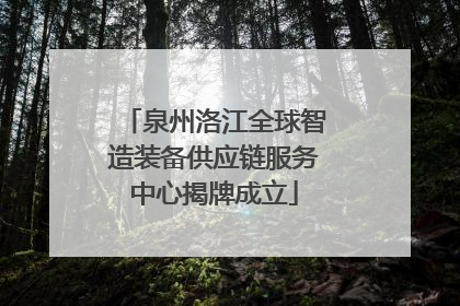 泉州洛江全球智造装备供应链服务中心揭牌成立