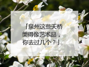 泉州这些天桥美得像艺术品，你去过几个？