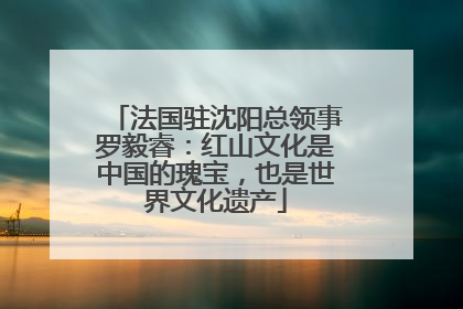 法国驻沈阳总领事罗毅睿：红山文化是中国的瑰宝，也是世界文化遗产