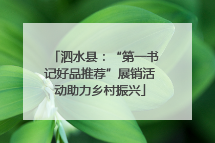 泗水县：“第一书记好品推荐”展销活动助力乡村振兴