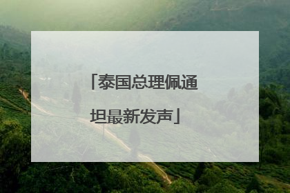 泰国总理佩通坦最新发声
