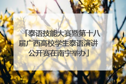 泰语技能大赛暨第十八届广西高校学生泰语演讲公开赛在南宁举办