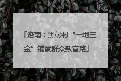 洛南：黑彰村“一地三金”铺就群众致富路