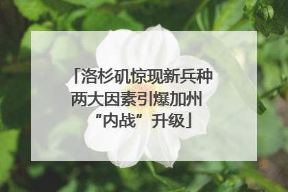 洛杉矶惊现新兵种 两大因素引爆加州“内战”升级