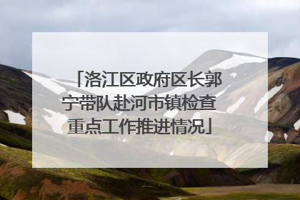 洛江区政府区长郭宁带队赴河市镇检查重点工作推进情况