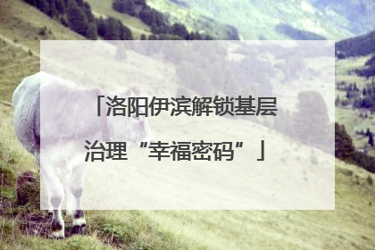 洛阳伊滨解锁基层治理“幸福密码”