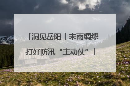 洞见岳阳丨未雨绸缪 打好防汛“主动仗”