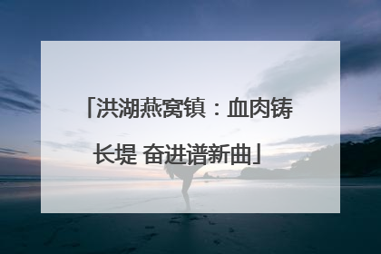 洪湖燕窝镇：血肉铸长堤 奋进谱新曲