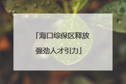 海口综保区释放强劲人才引力