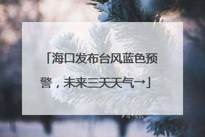 海口发布台风蓝色预警，未来三天天气→