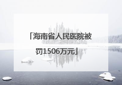 海南省人民医院被罚1506万元