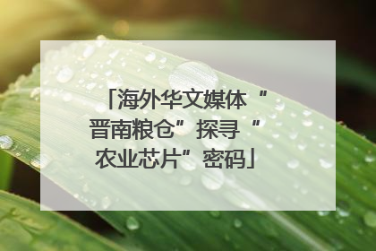 海外华文媒体“晋南粮仓”探寻“农业芯片”密码