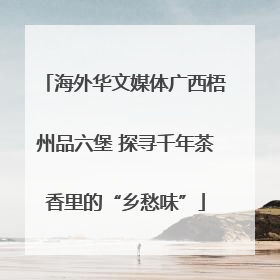 海外华文媒体广西梧州品六堡 探寻千年茶香里的“乡愁味”