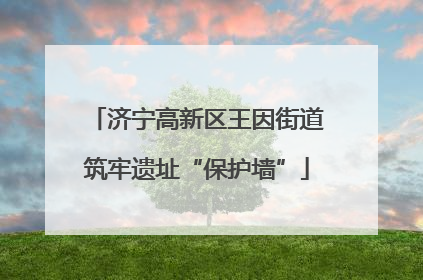 济宁高新区王因街道筑牢遗址“保护墙”