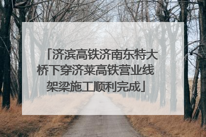济滨高铁济南东特大桥下穿济莱高铁营业线架梁施工顺利完成