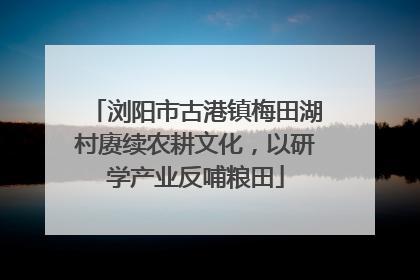 浏阳市古港镇梅田湖村赓续农耕文化，以研学产业反哺粮田