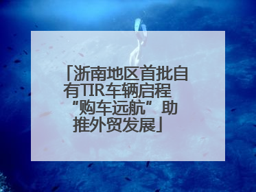 浙南地区首批自有TIR车辆启程 “购车远航”助推外贸发展