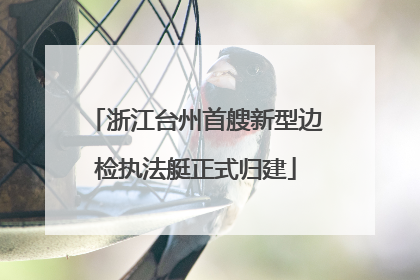 浙江台州首艘新型边检执法艇正式归建