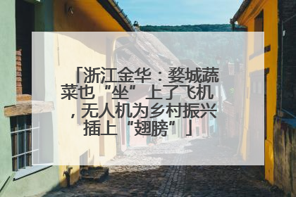 浙江金华：婺城蔬菜也“坐”上了飞机，无人机为乡村振兴插上“翅膀”