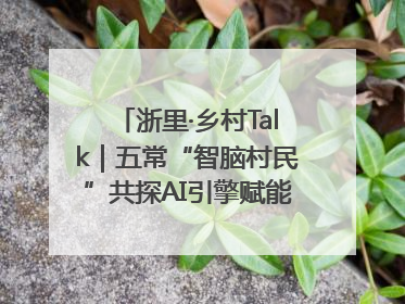 浙里·乡村Talk｜五常“智脑村民”共探AI引擎赋能企业服务新图景