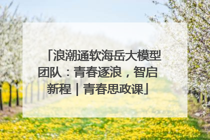 浪潮通软海岳大模型团队：青春逐浪，智启新程｜青春思政课