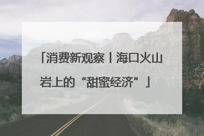 消费新观察丨海口火山岩上的“甜蜜经济”