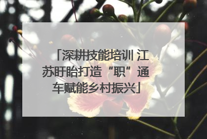 深耕技能培训 江苏盱眙打造“职”通车赋能乡村振兴
