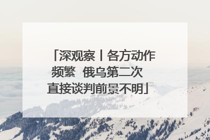 深观察丨各方动作频繁  俄乌第二次直接谈判前景不明