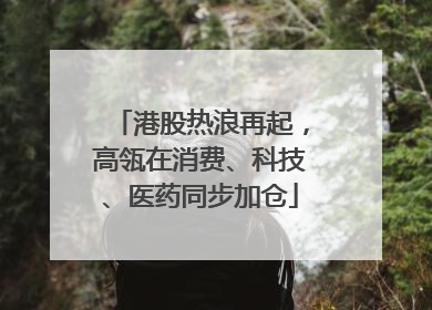 港股热浪再起，高瓴在消费、科技、医药同步加仓